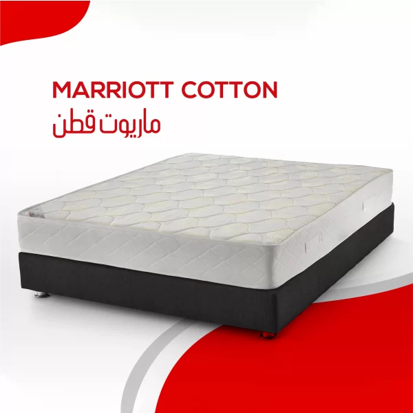 janssen marriott cotton